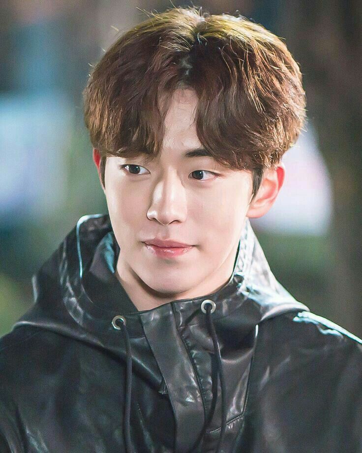 Mái Nhà Dột Nát